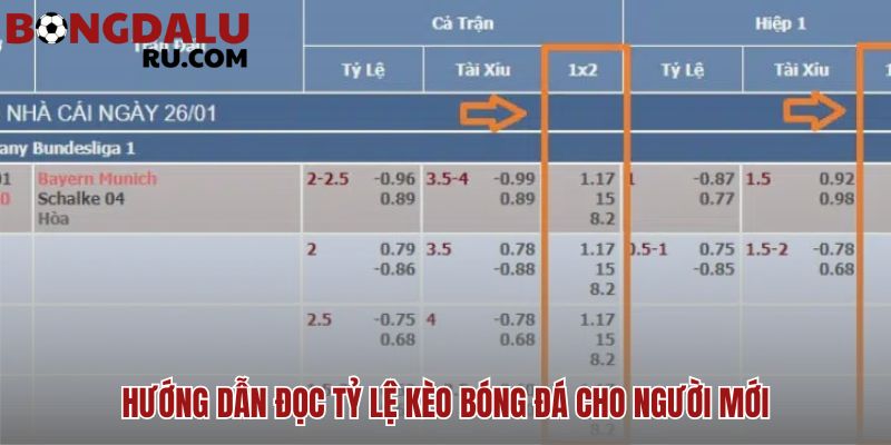Hướng dẫn đọc tỷ lệ kèo theo những quy luật logic đơn giản