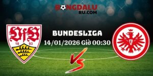 Nhận Định Kèo Nhà Cái – Stuttgart Vs Eintracht Frankfurt 14/01/2026